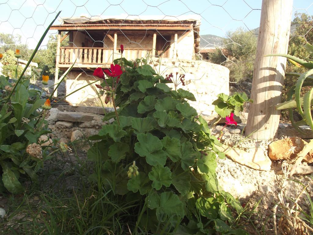 Beymelek Tas Evler Guest House Demre Eksteriør bilde